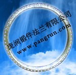 非標(biāo)不銹鋼薄型法蘭